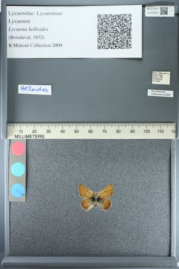 Media type: image;   Entomology 183543